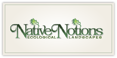Native Notions – Landscape Design & Installation Logo